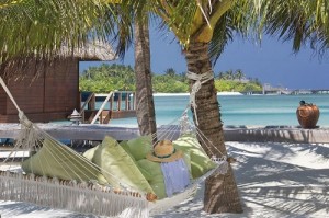 Beach Hammock